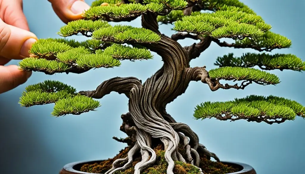 bonsai shaping methods