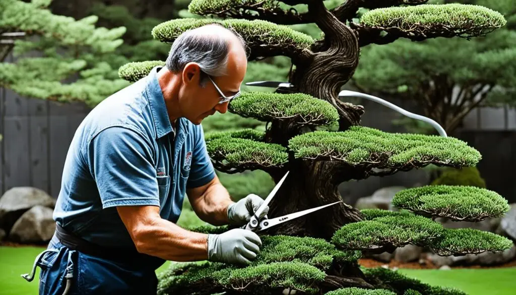 bonsai shaping methods