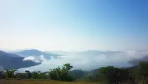 Mindful breathing exercises for stress relief